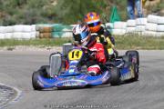 20110501_ales_agnus (3485)